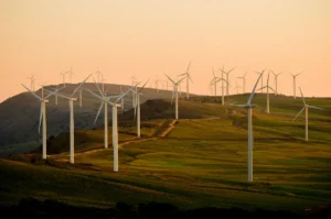 Accace - ESG obligations in Poland