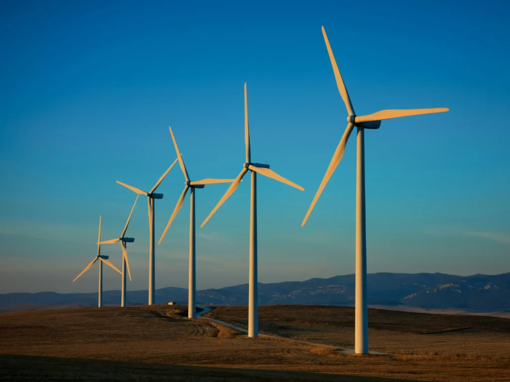 Accace - due diligence in Romania for the renewable energy sector